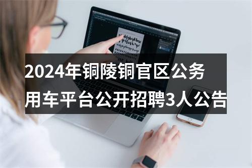 2024年铜陵铜官区公务用车平台公开招聘3人公告 图片