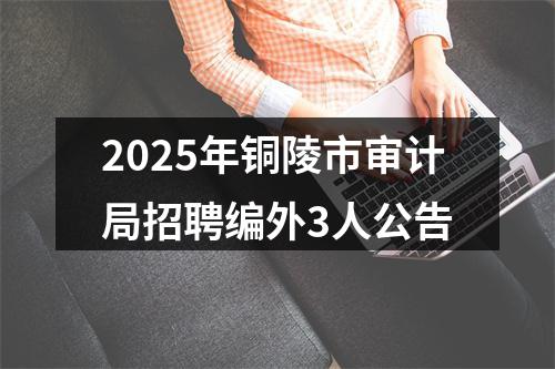 2025年铜陵市审计局招聘编外3人公告 图片