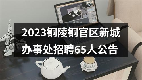 2023铜陵铜官区新城办事处招聘65人公告 图片