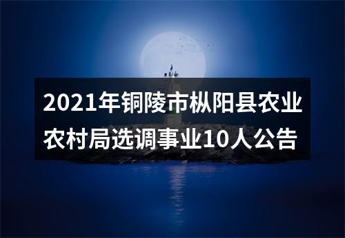 2021年铜陵市枞阳县农业农村局选调事业10人公告 图片