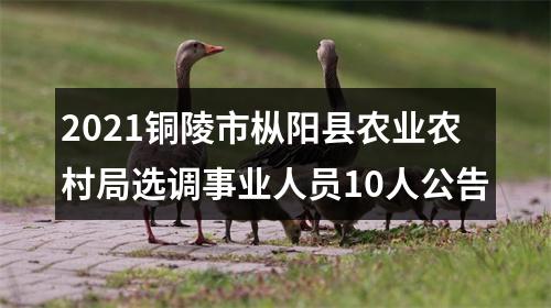 2021铜陵市枞阳县农业农村局选调事业人员10人公告 图片