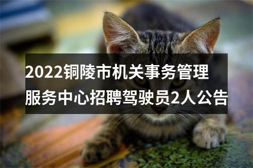 2022铜陵市机关事务管理服务中心招聘驾驶员2人公告 图片