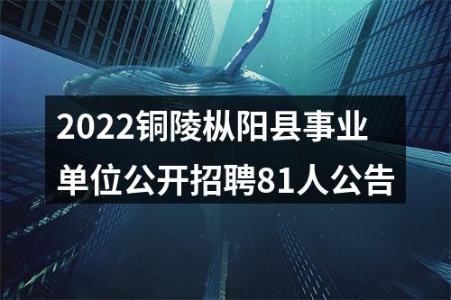 2022铜陵枞阳县事业单位公开招聘81人公告 图片