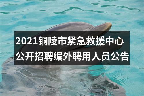 2021铜陵市紧急救援中心公开招聘编外聘用人员公告 图片
