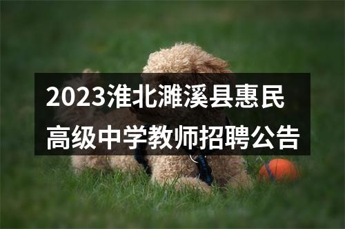 2023淮北濉溪县惠民高级中学教师招聘公告 图片