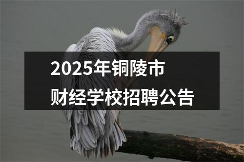 2025年铜陵市财经学校招聘公告 图片