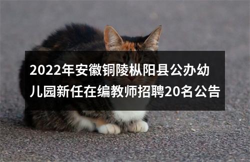 2022年安徽铜陵枞阳县公办幼儿园新任在编教师招聘20名公告 图片