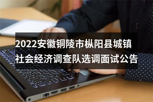 2022安徽铜陵市枞阳县城镇社会经济调查队选调面试公告 图片