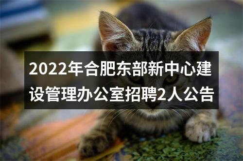 2022年合肥东部新中心建设管理办公室招聘2人公告 图片