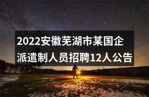 2022安徽芜湖市某国企派遣制人员招聘12人公告 图片